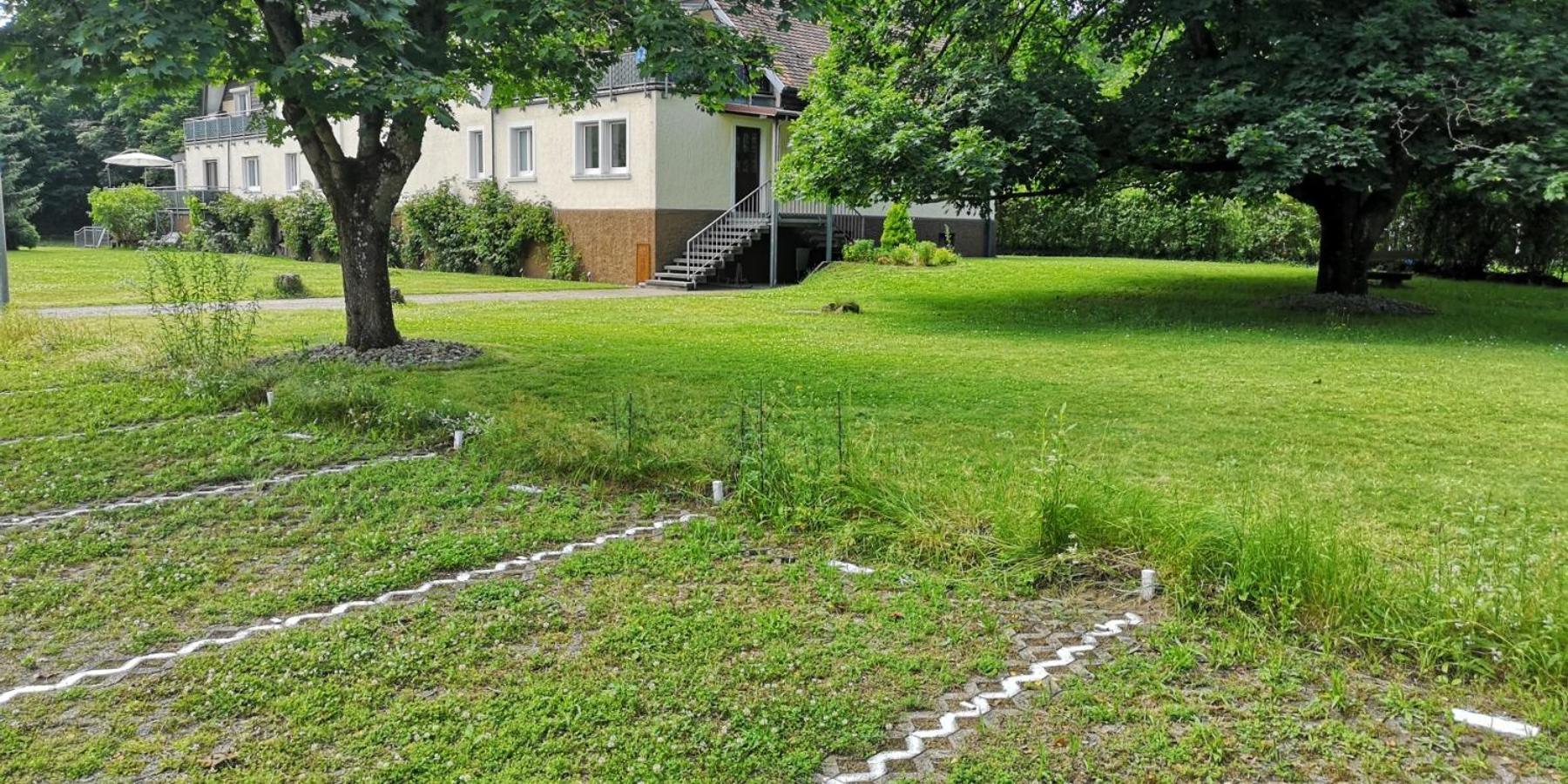 イフェッツハイムNiederwaldアパートメント エクステリア 写真